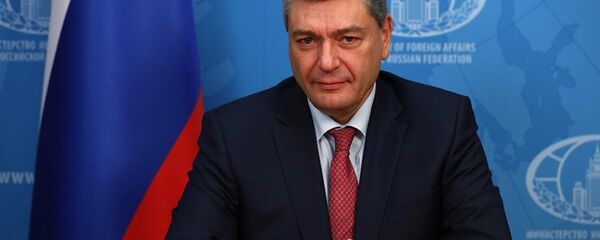 замглавы МИД РФ Андрей Руденко - 俄羅斯衛星通訊社