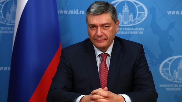 俄外交部：俄罗斯将研究印尼的乌克兰问题计划 如果正式收到的话 - 俄罗斯卫星通讯社