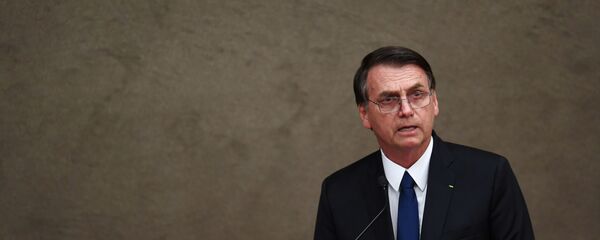 媒体：巴西总统博索纳罗不会参加达沃斯世界经济论坛 - 俄罗斯卫星通讯社