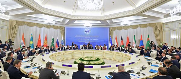 Заседание Совета глав правительств государств - членов ШОС в Ташкенте - 俄罗斯卫星通讯社