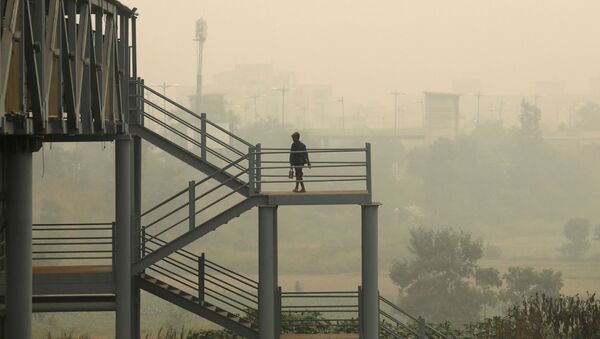 Мужчина во время сильного смога в Нью-Дели - 俄羅斯衛星通訊社