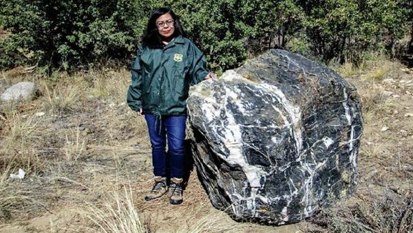 美国亚利桑那州黑色巨石失踪数天后神秘重现 - 俄罗斯卫星通讯社