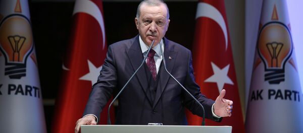 Президент Турции Реджеп Тайип Эрдоган - 俄罗斯卫星通讯社