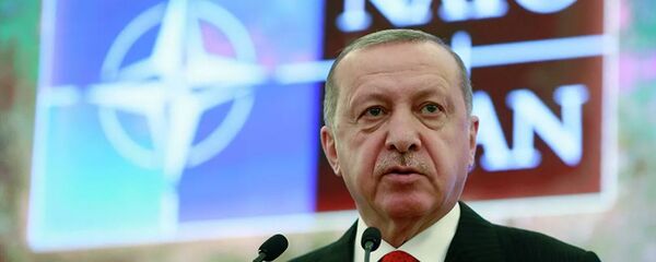 Президент Турции Реджеп Тайип Эрдоган выступает на заседании НАТО в Анкаре - 俄罗斯卫星通讯社