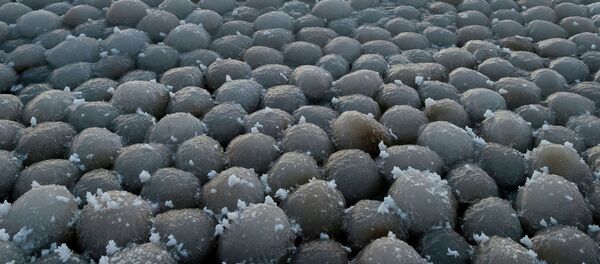 Ледяные яйца - 俄罗斯卫星通讯社