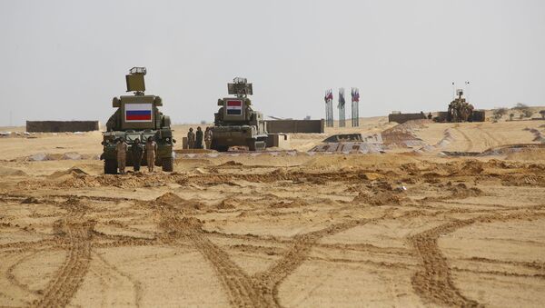 俄羅斯與埃及將於2021年舉行聯合防空演習 - 俄羅斯衛星通訊社