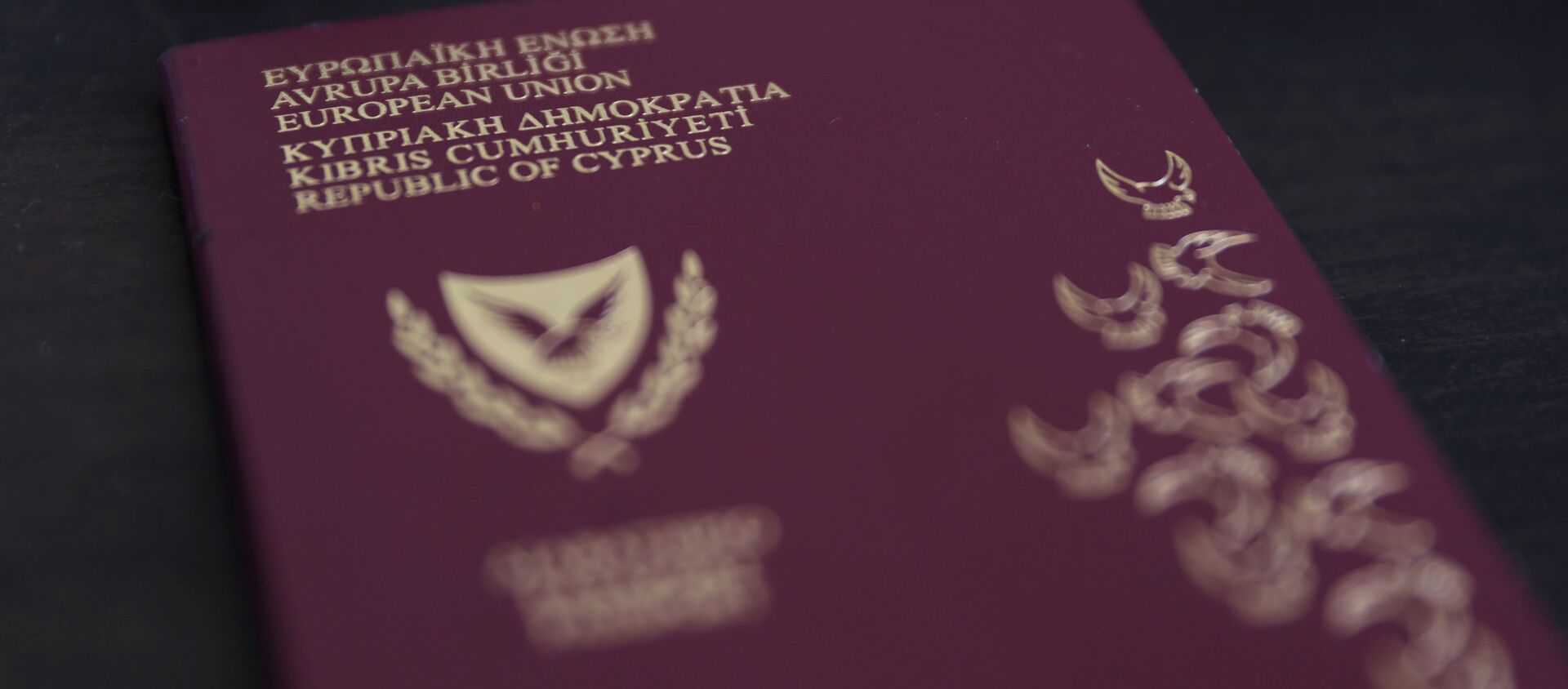 Паспорт Кипра - 俄罗斯卫星通讯社, 1920, 01.11.2020