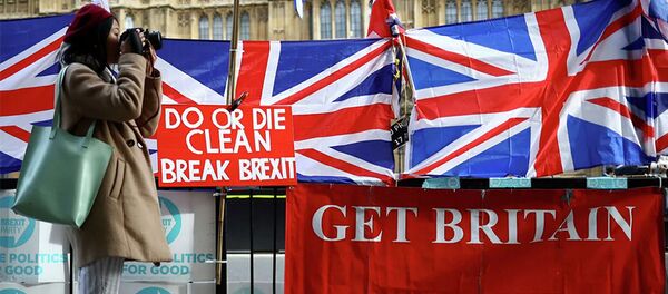 Плакаты сторонников Brexit у здания Парламента в Лондоне  - 俄罗斯卫星通讯社
