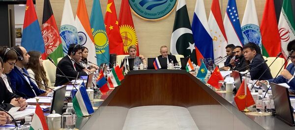 俄外经银行行长：上合组织成员国制定摆脱危机路线图 - 俄罗斯卫星通讯社