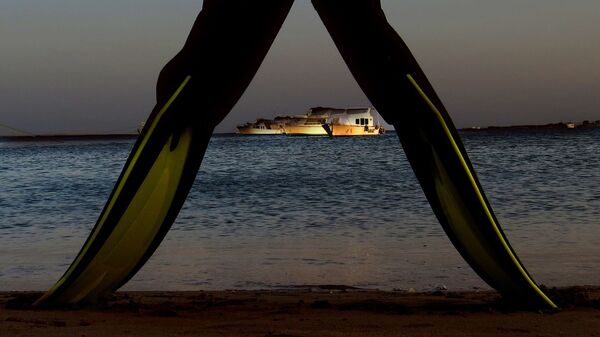 美国防部长称打击贩毒船只完全合法 - 俄罗斯卫星通讯社