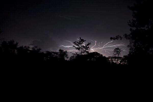 利比里亚萨波国家公园上空的雷暴 - 俄罗斯卫星通讯社