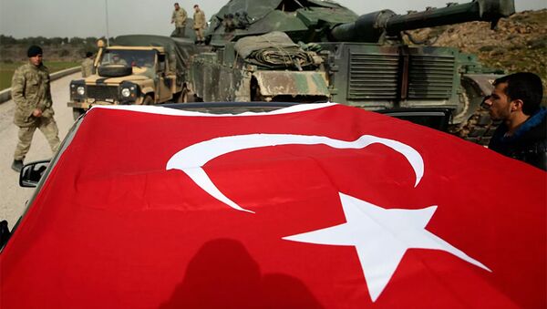 利比亚民族团结政府正式向土耳其提出军事援助请求 - 俄罗斯卫星通讯社