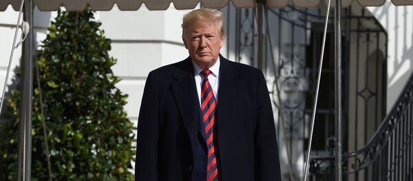 Президент США Дональд Трамп - 俄羅斯衛星通訊社