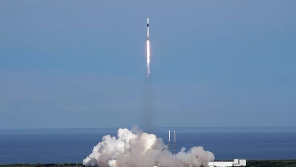 Старт ракеты-носителя Falcon 9. - 俄罗斯卫星通讯社