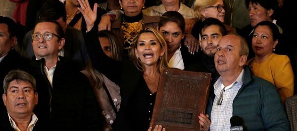 Жанин Аньес - 俄罗斯卫星通讯社