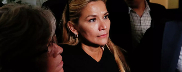 玻利維亞臨時總統阿涅斯 玻利維亞臨時總統阿涅斯 - 俄羅斯衛星通訊社