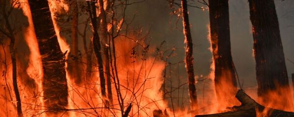 澳大利亞東南部森林大火產生的煙霧已抵達墨爾本 澳大利亞東南部森林大火產生的煙霧已抵達墨爾本 - 俄羅斯衛星通訊社