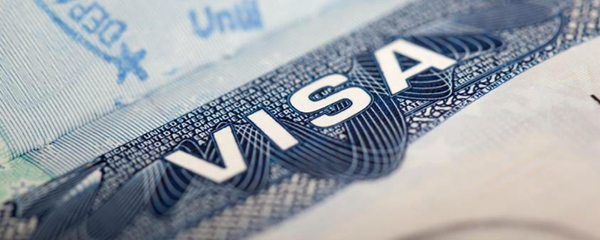 Виза - 俄罗斯卫星通讯社