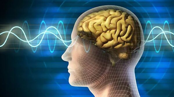 科学家发现大脑如何控制免疫力 - 俄罗斯卫星通讯社