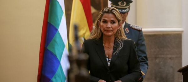 Оппозиционный сенатор Жанин Аньес в Боливии Оппозиционный сенатор Жанин Аньес в Боливии - 俄羅斯衛星通訊社