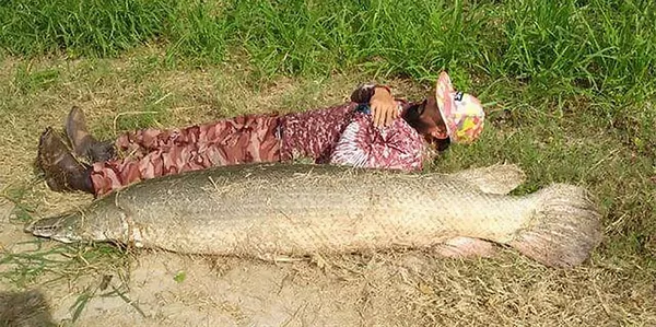美國漁民差點沒成大魚嘴中的美餐（照片）