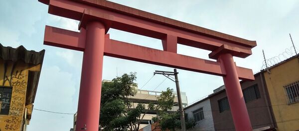 Бразилия Сан-паулу чайнатаун Бразилия Сан-паулу чайнатаун - 俄羅斯衛星通訊社