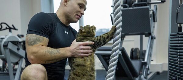 Толстый кот Виктор сходил на тренировку - 俄羅斯衛星通訊社