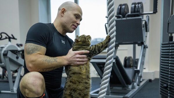 Толстый кот Виктор сходил на тренировку - 俄罗斯卫星通讯社