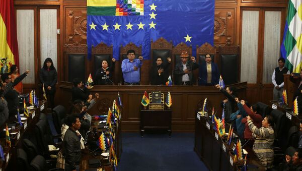 Парламент Боливии - 俄罗斯卫星通讯社