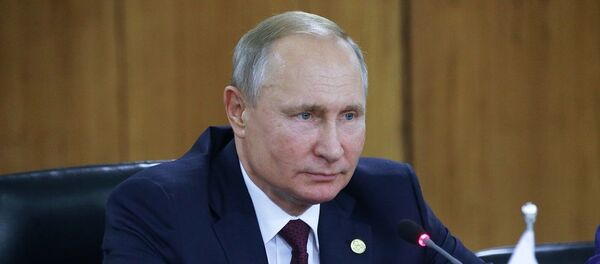 Путин - 俄罗斯卫星通讯社