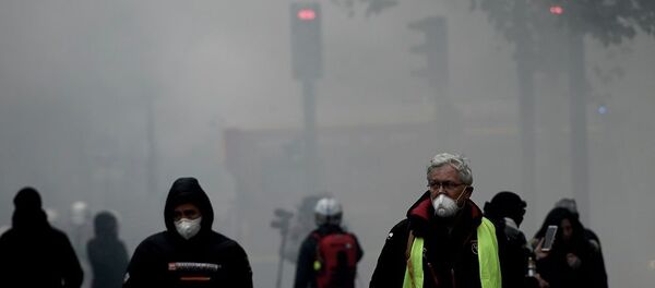 Не менее 16 человек задержаны в Париже, где протестуют желтые жилеты - полиция Не менее 16 человек задержаны в Париже, где протестуют желтые жилеты - полиция - 俄罗斯卫星通讯社