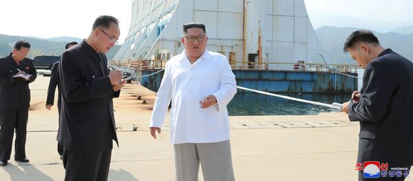 戰爭就是戰爭：金正恩視察朝鮮 - 俄羅斯衛星通訊社