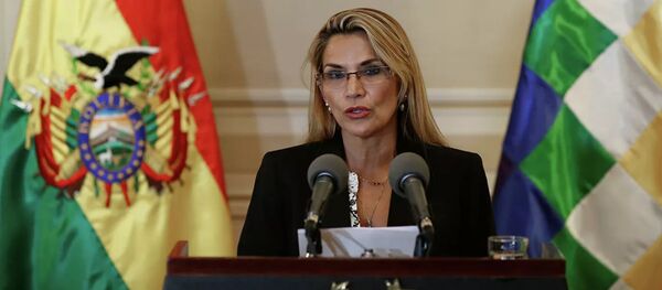 Временный президент Боливии  Жанин Аньес - 俄罗斯卫星通讯社