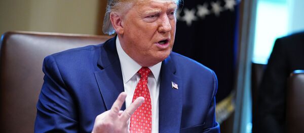 Дональд Трамп на заседании кабинета министров - 俄罗斯卫星通讯社