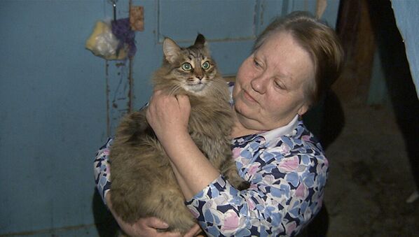 俄罗斯著名的“新闻当事猫” - 俄罗斯卫星通讯社