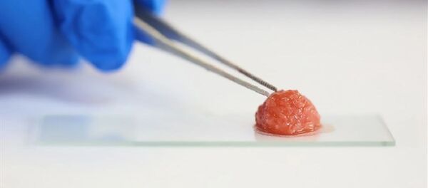 Искусственное мясо Искусственное мясо - 俄羅斯衛星通訊社