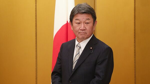 Министр иностранных дел Японии Тосимицу Мотэги - 俄羅斯衛星通訊社