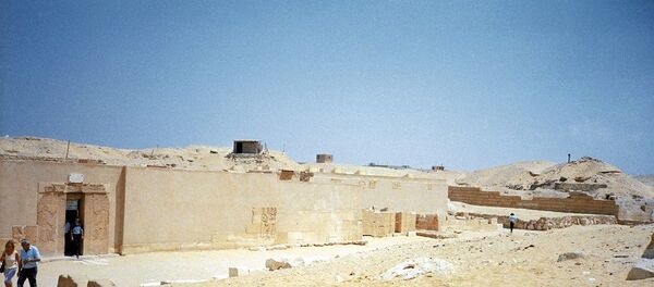 В Египте обнаружили мумии животных и древние памятники, которых хватит на музей В Египте обнаружили мумии животных и древние памятники, которых хватит на музей - 俄罗斯卫星通讯社