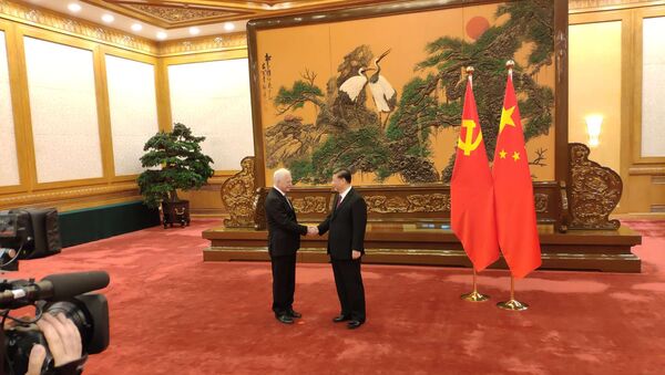 Си Цзиньпин принимает делегацию Единой России в Китае  - 俄罗斯卫星通讯社