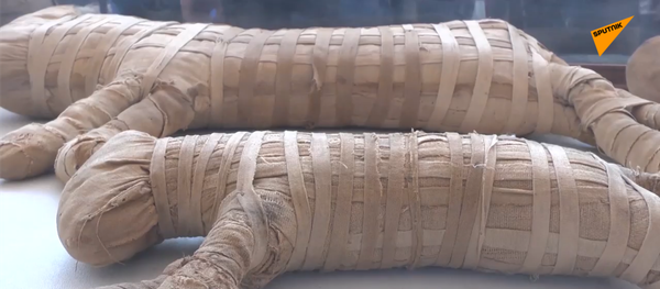 埃及发现一批动物木乃伊 - 俄罗斯卫星通讯社