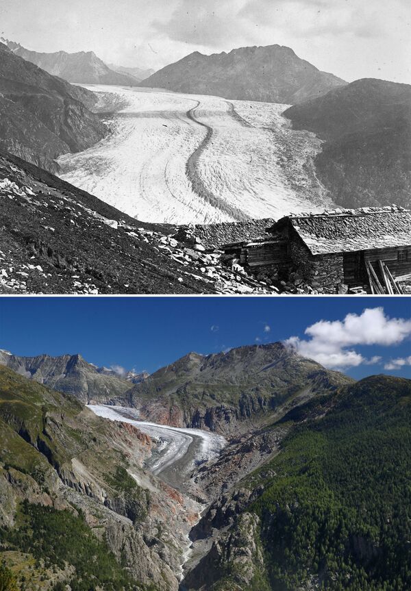 1865年和2019年的瑞士阿萊奇冰川 - 俄羅斯衛星通訊社
