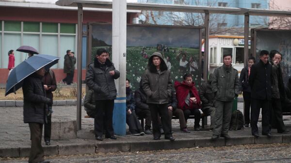 俄羅斯應吸引朝鮮勞工來取代中亞移民 - 俄羅斯衛星通訊社