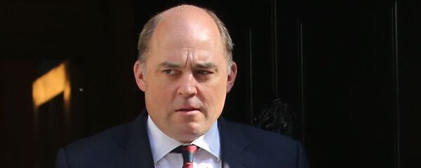 英国国防大臣抹黑中国和平利用外空 中国驻英使馆驳斥 - 俄罗斯卫星通讯社