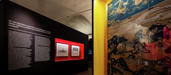 Музей Москва выставка Петр 1  - 俄罗斯卫星通讯社