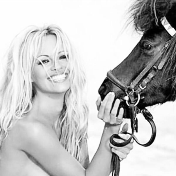 前花花公子模特帕米拉·安德森寫信給莫迪總理提特別請求 前花花公子模特帕米拉·安德森寫信給莫迪總理提特別請求 - 俄羅斯衛星通訊社