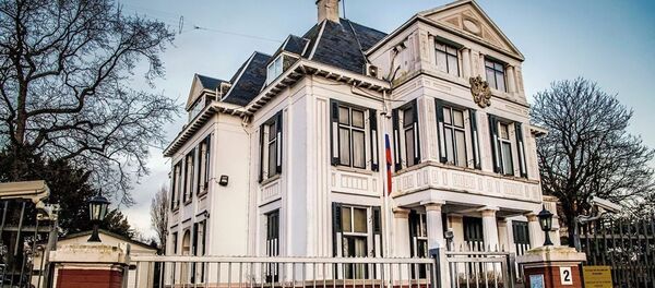 Посольство Российской Федерации в Нидерландах - 俄羅斯衛星通訊社