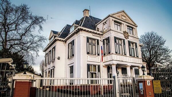 Посольство Российской Федерации в Нидерландах - 俄羅斯衛星通訊社
