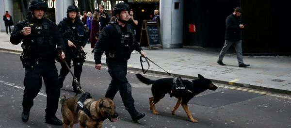 Полицейские в районе Лондонского моста - 俄罗斯卫星通讯社
