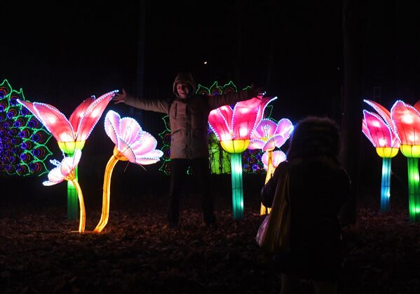 Экспозиция, представленная на фестивале волшебных китайских фонарей, в парке Сокольники в Москве - 俄羅斯衛星通訊社