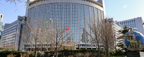 中国外交部 - 俄罗斯卫星通讯社